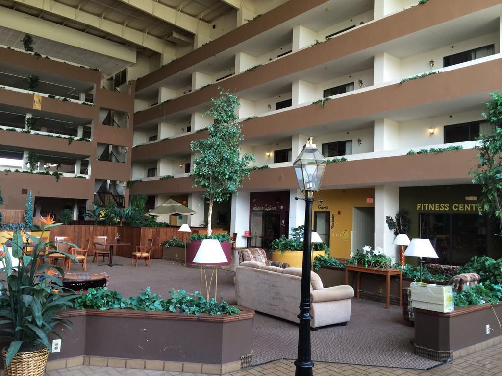 Plaza Hotel And Suites 派恩布拉夫 外观 照片