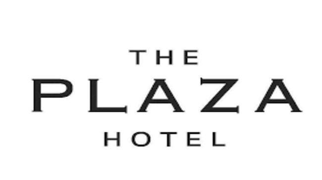 Plaza Hotel And Suites 派恩布拉夫 商标 照片